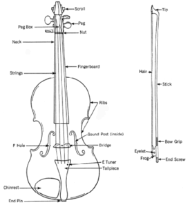 bow-anatomy
