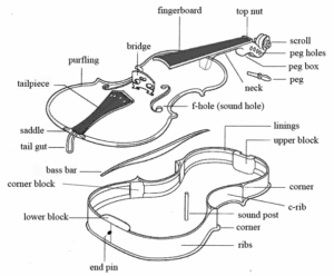 Basic Violin Anatomy: Understanding the Parts of the Violin and Bow